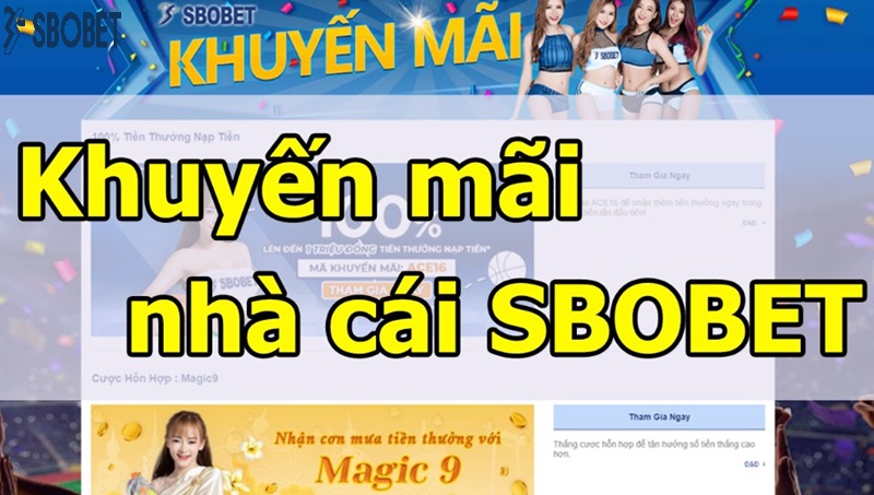Thường xuyên tham gia các giải đấu Sbobet đặc biệt Thuong xuyen tham gia cac giai dau Sbobet dac biet
