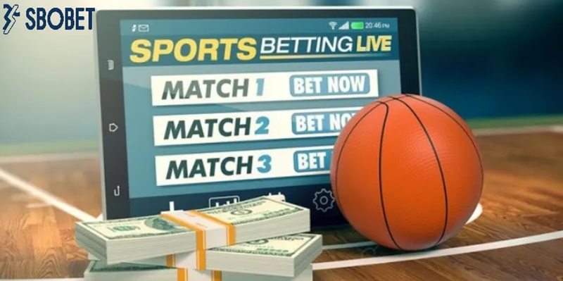 Tính tiền thưởng cá cược bóng rổ Sbobet chính xác Tinh tien thuong ca cuoc bong ro Sbobet chinh xac